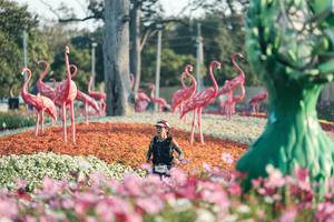 BIB: 
                            <button type="button" onclick="openModal(27344147)" class="btn btn-primary btn-sm float-right btn-popup" data-toggle="modal" data-target=".modal-high-quality">
                        <i class="fas fa-shopping-cart"></i> Add to Cart
                    </button>
                                            <button type="button" onclick="isThisMe(27344147, true)" class="btn btn-success btn-sm float-right btn-popup btn-isme hidden" data-toggle="tooltip" data-placement="bottom" title="นี่คือรูปของคุณใช่ไหม คลิกที่นี่เพื่อเอาเข้าอัลบั้ม">
                        <i class="fas fa-plus"></i> Add to album
                    </button>
                    <button type="button" onclick="isThisMe(27344147, false)" class="btn btn-warning btn-sm float-right btn-popup btn-isnotme hidden">
                        <i class="fas fa-ban"></i> Remove from album
                    </button>